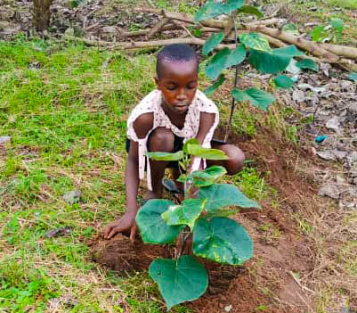 Greenshield Photo - Girl Planting Tree