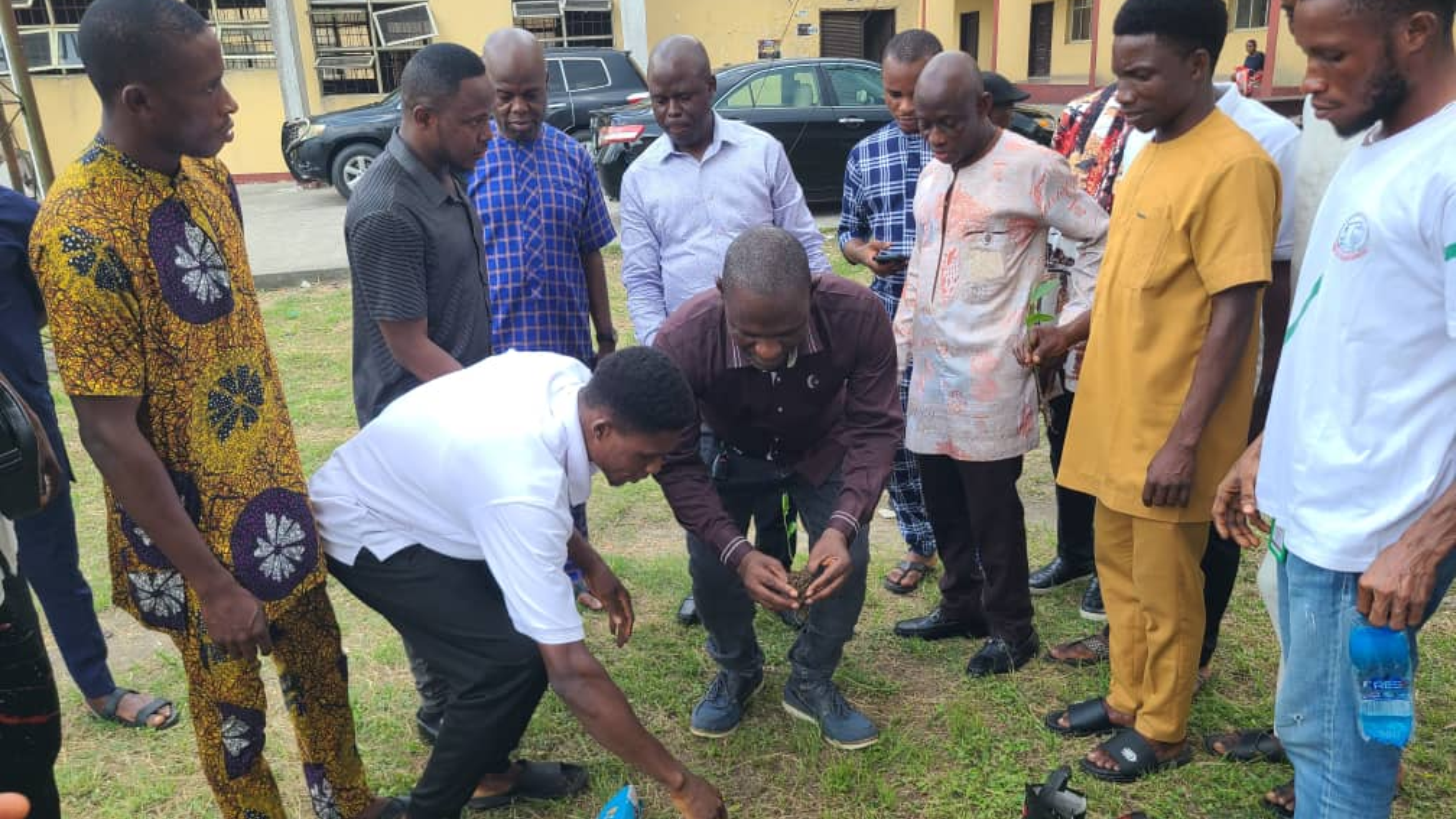 Ecosystem restoration